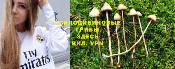ALPHA-PVP Вязники
