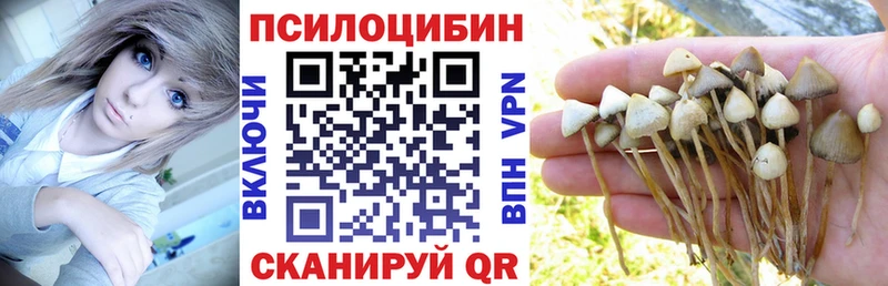 Галлюциногенные грибы GOLDEN TEACHER  Ливны 